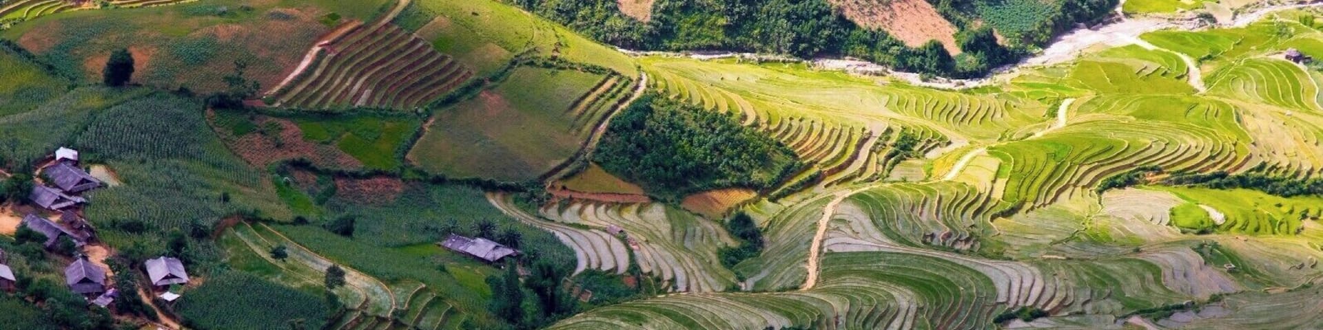 Les rizières... la culture du riz
#Vietnam #CaoBang #YenBai #Rizières #Riz #Zen