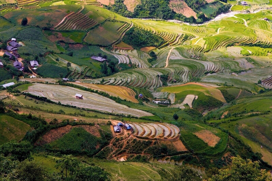 Les rizières... la culture du riz
#Vietnam #CaoBang #YenBai #Rizières #Riz #Zen
