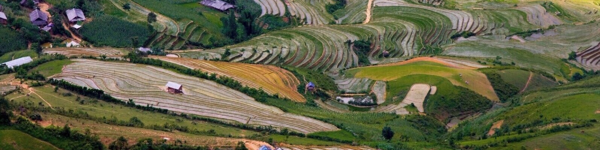 Les rizières... la culture du riz
#Vietnam #CaoBang #YenBai #Rizières #Riz #Zen
