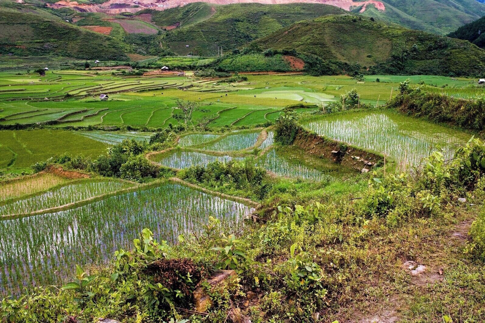 Les rizières... la culture du riz
#Vietnam #CaoBang #YenBai #Rizières #Riz #Zen