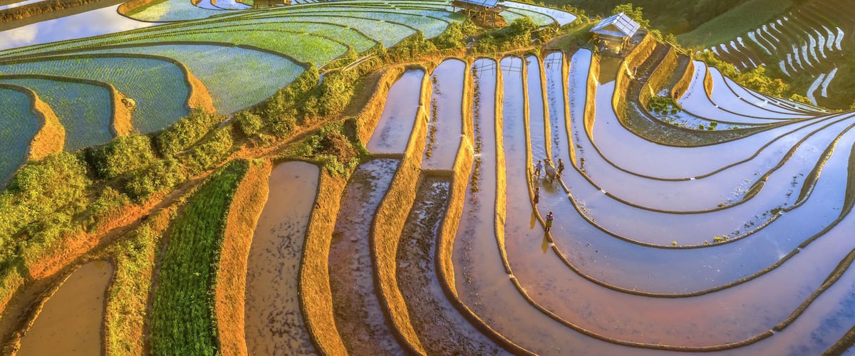 Terraced rice fields with solar panels.