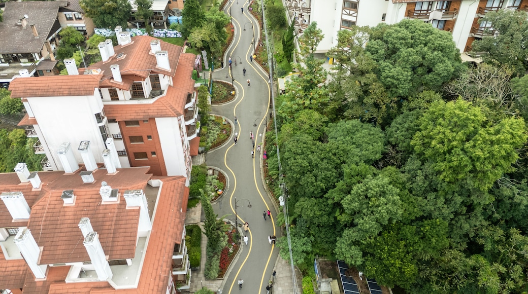 Imagem aérea da Rua Torta com curvas acentuadas e paisagismo destacando urbanismo e turismo na cidade de Gramado