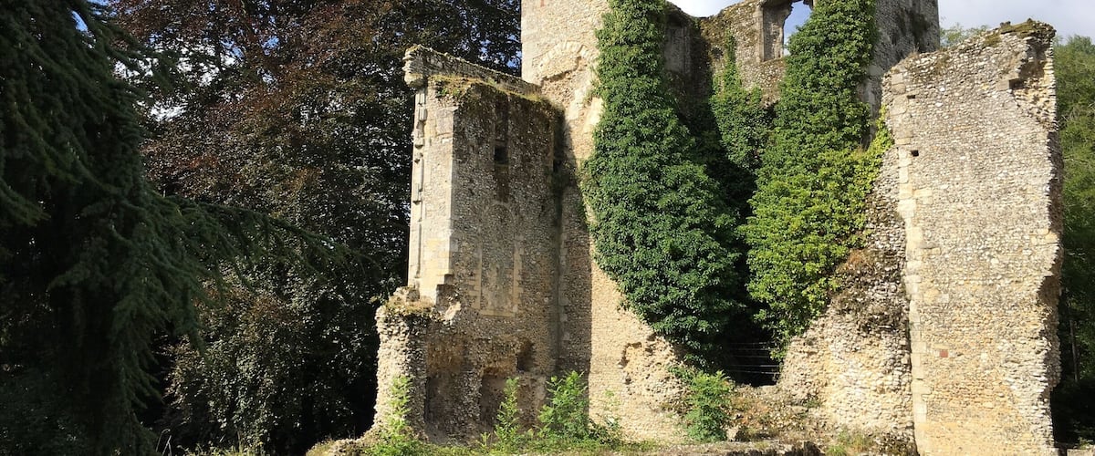 An ancient stone structure with ivy-covered walls and a large archway.