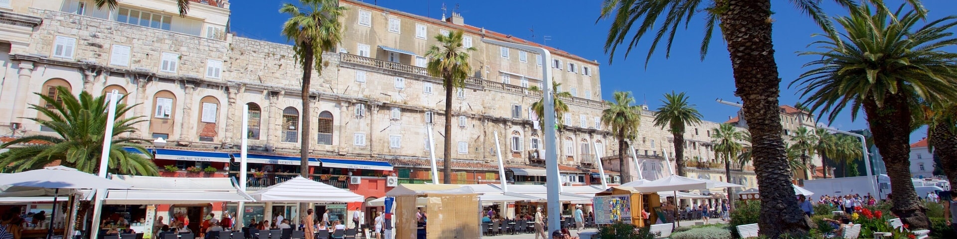 Una plaza soleada con palmeras, cafés al aire libre y edificios históricos.