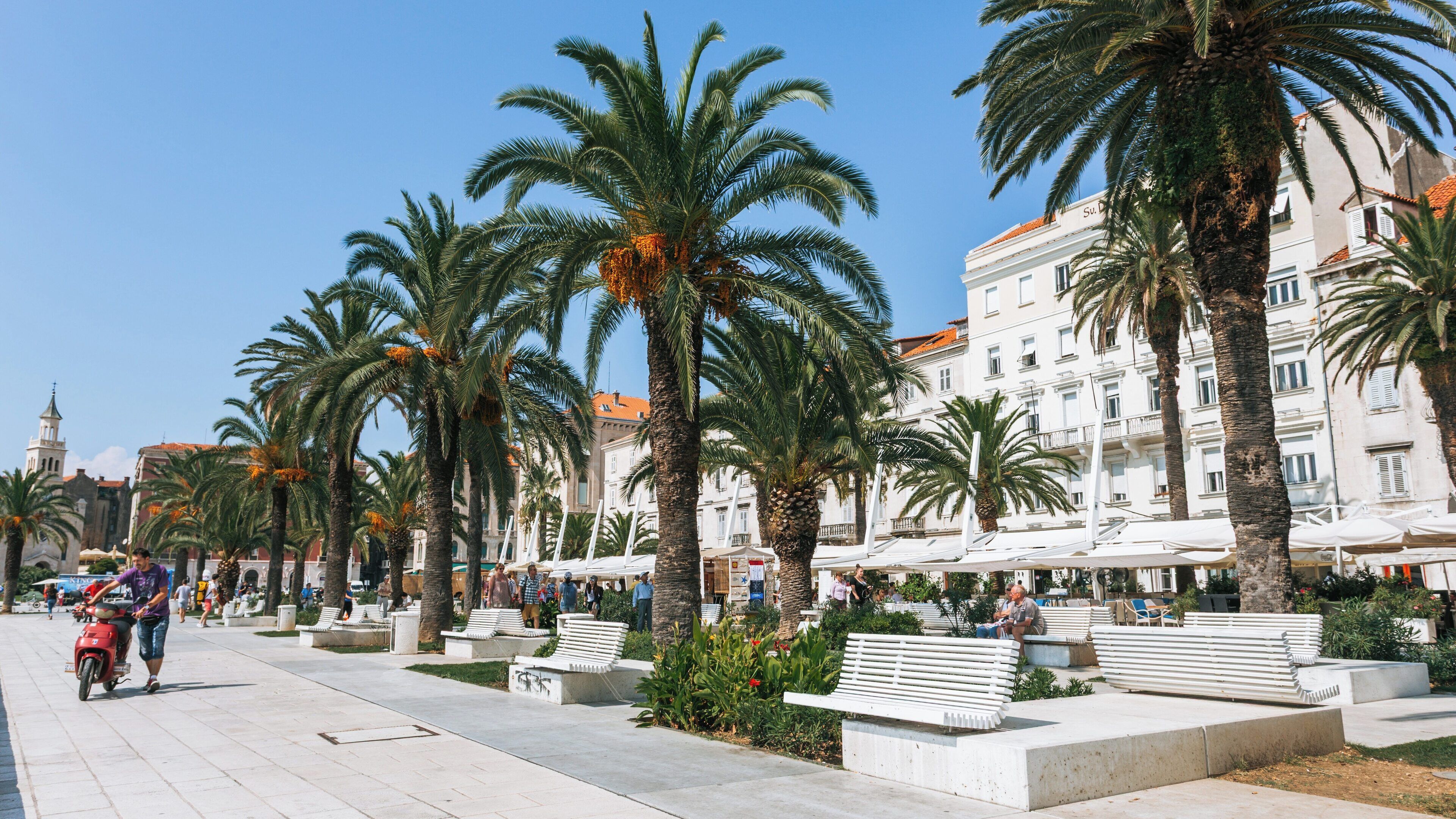 Explore Split Riva in Old Town Split and experience vibrant atmosphere among palm trees and lively cafes in Croatia