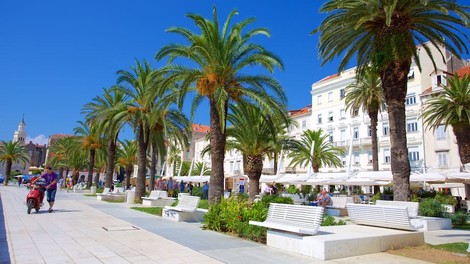 A sunny promenade lined with palm trees and benches, with people walking and sitting.