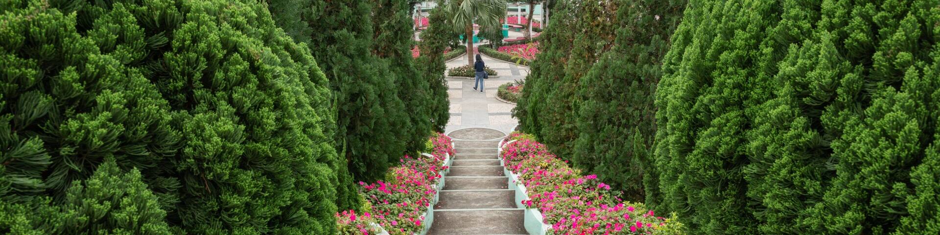 Carmel Garden featuring a park and flowers