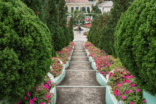 Carmel Garden featuring a park and flowers