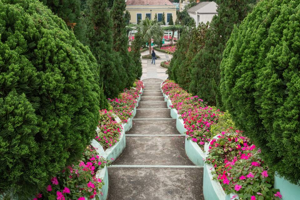 A stone staircase flanked by lush green trees and vibrant pink flowers, leading towards a building with a tiled roof.