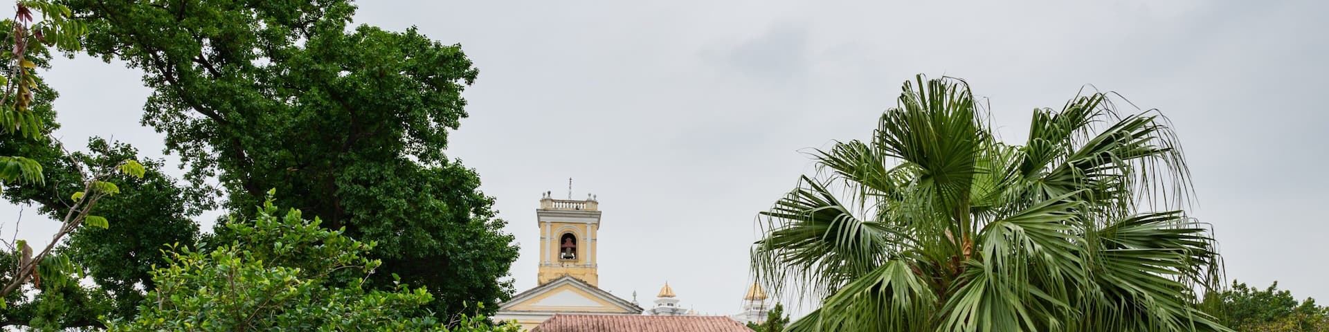 A garden with pink flowers, a palm tree, and a building with a tower.