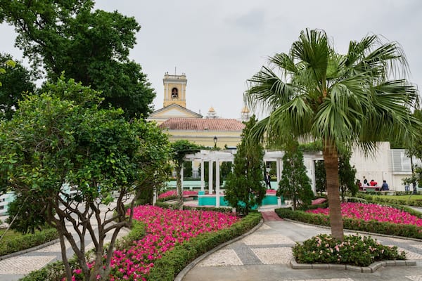 A garden with pink flowers, a palm tree, and a building with a tower.