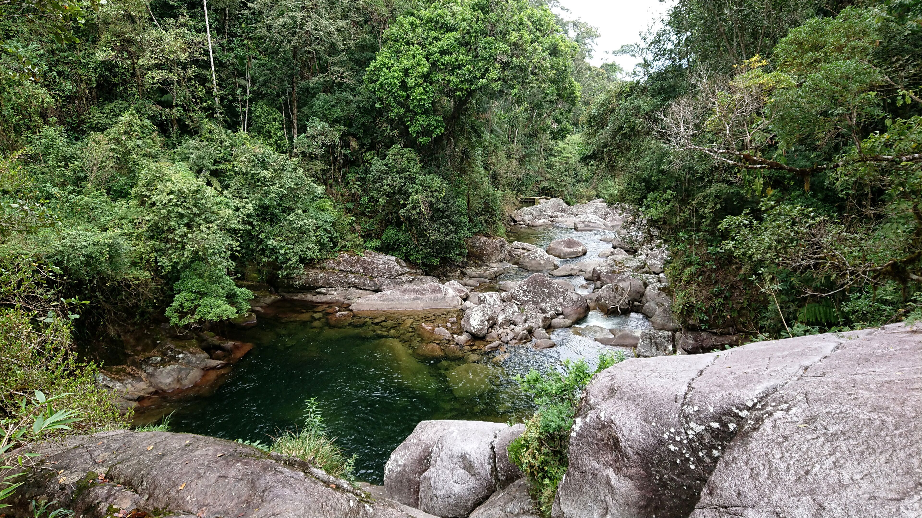 A river flowing through a forested area with large rocks and dense greenery.