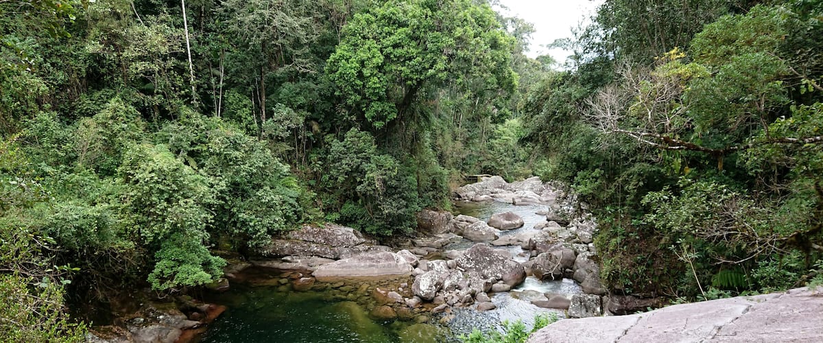 A river flowing through a forested area with large rocks and dense greenery.