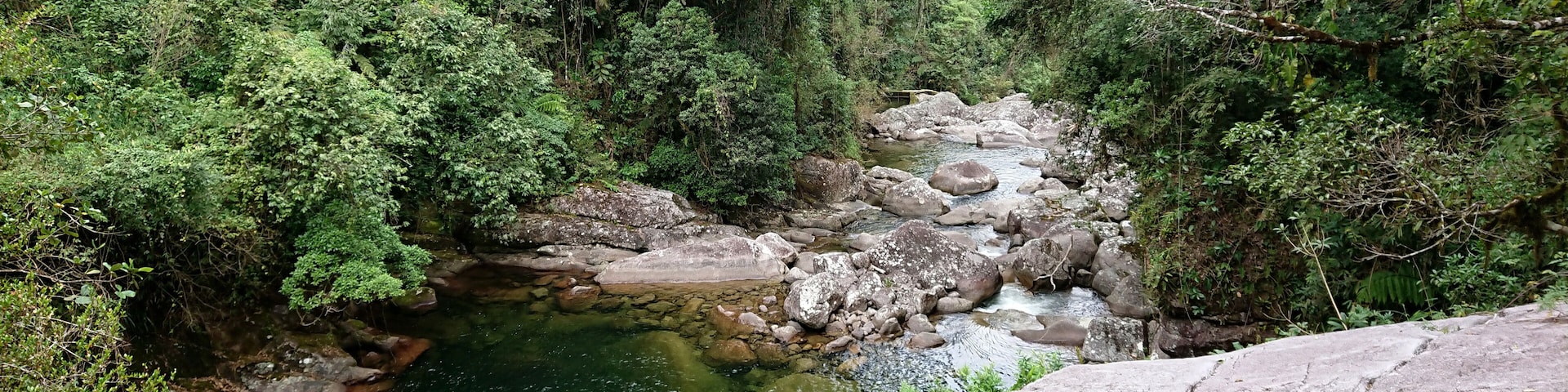 A river flowing through a forested area with large rocks and dense greenery.