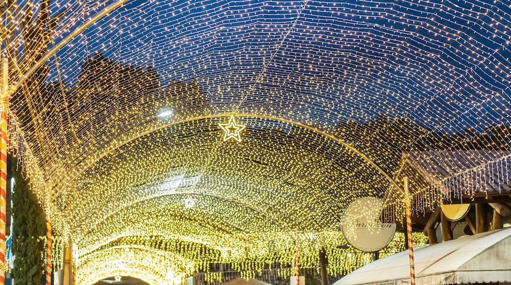 landscape of the city of Penedo, RJ at night