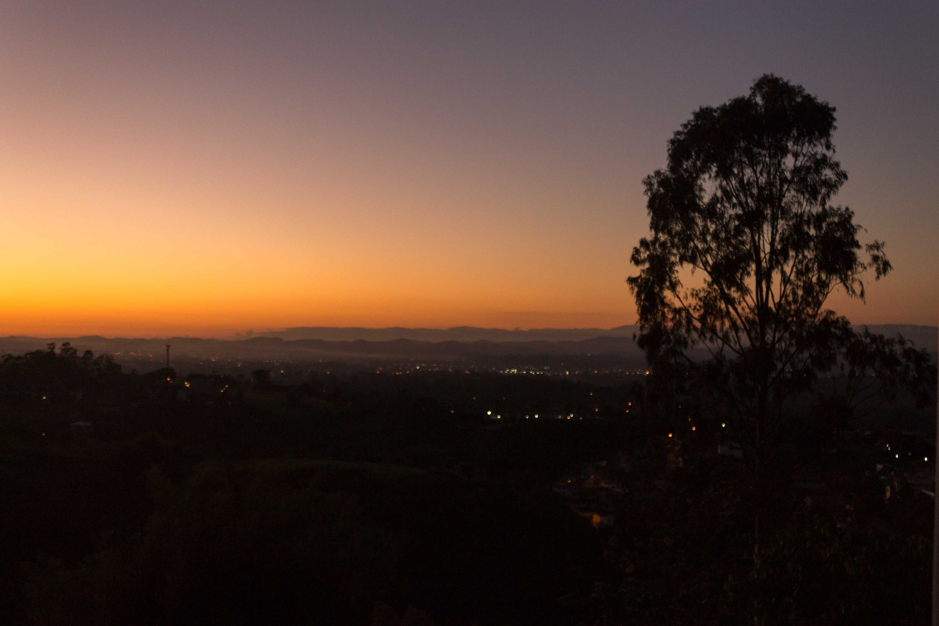 A sunset over a cityscape with a prominent tree silhouette.