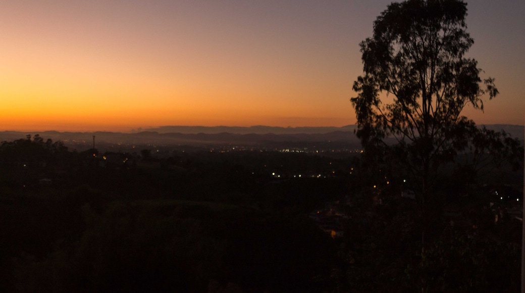 A sunset over a cityscape with a prominent tree silhouette.
