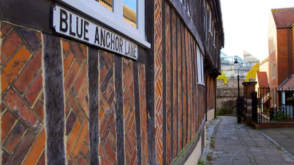 A street sign reading "BLUE ANCHOR LANE" on a building with a patterned brick facade.