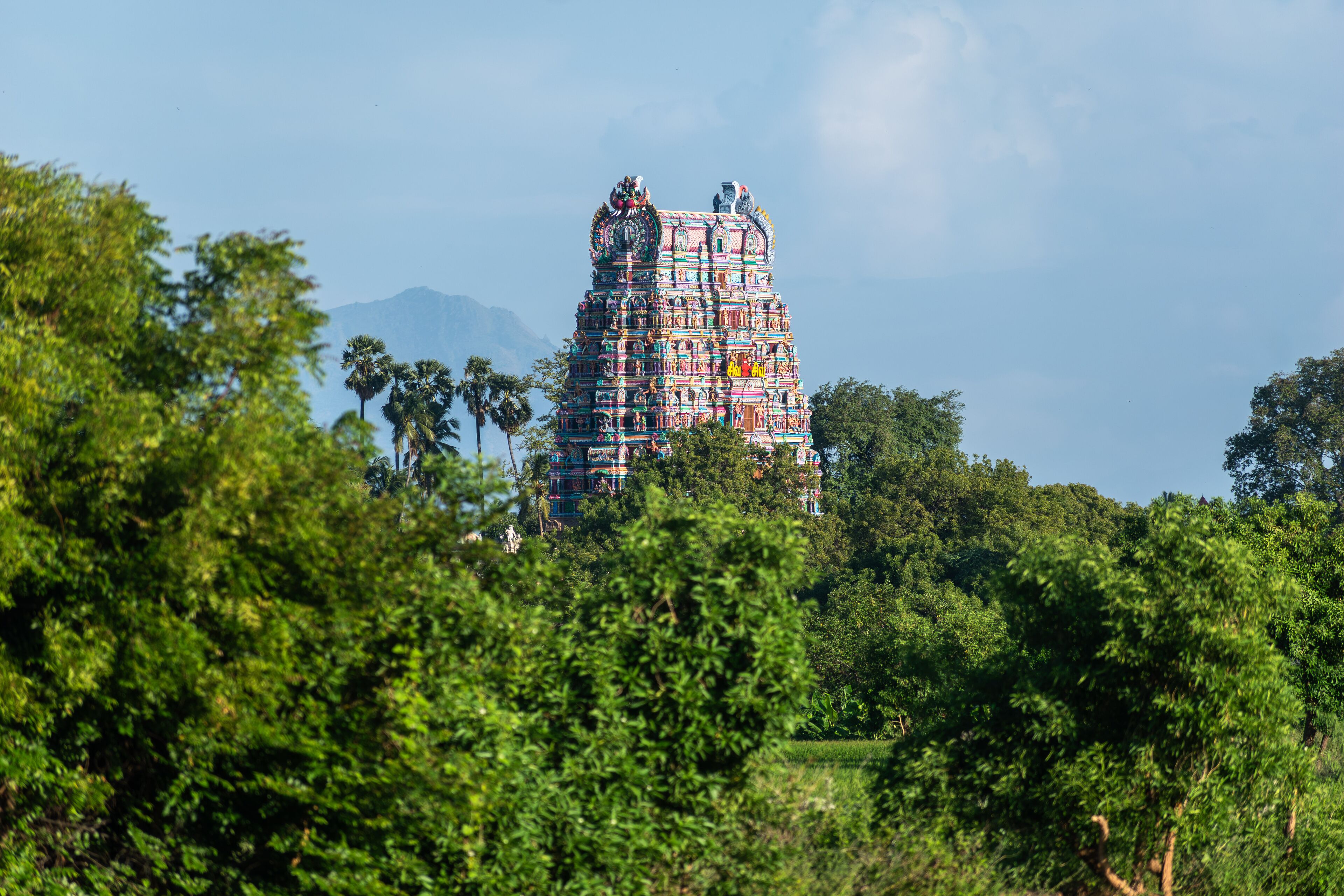 In Kallidaikurichi, a bright temple tower rises amidst vibrant trees and a clear sky, blending local architecture with nature.