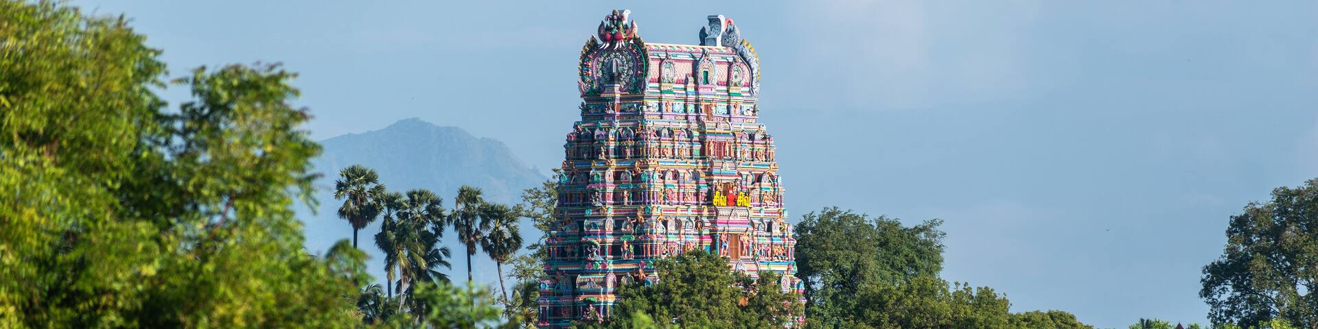 In Kallidaikurichi, a bright temple tower rises amidst vibrant trees and a clear sky, blending local architecture with nature.