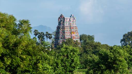 In Kallidaikurichi, a bright temple tower rises amidst vibrant trees and a clear sky, blending local architecture with nature.