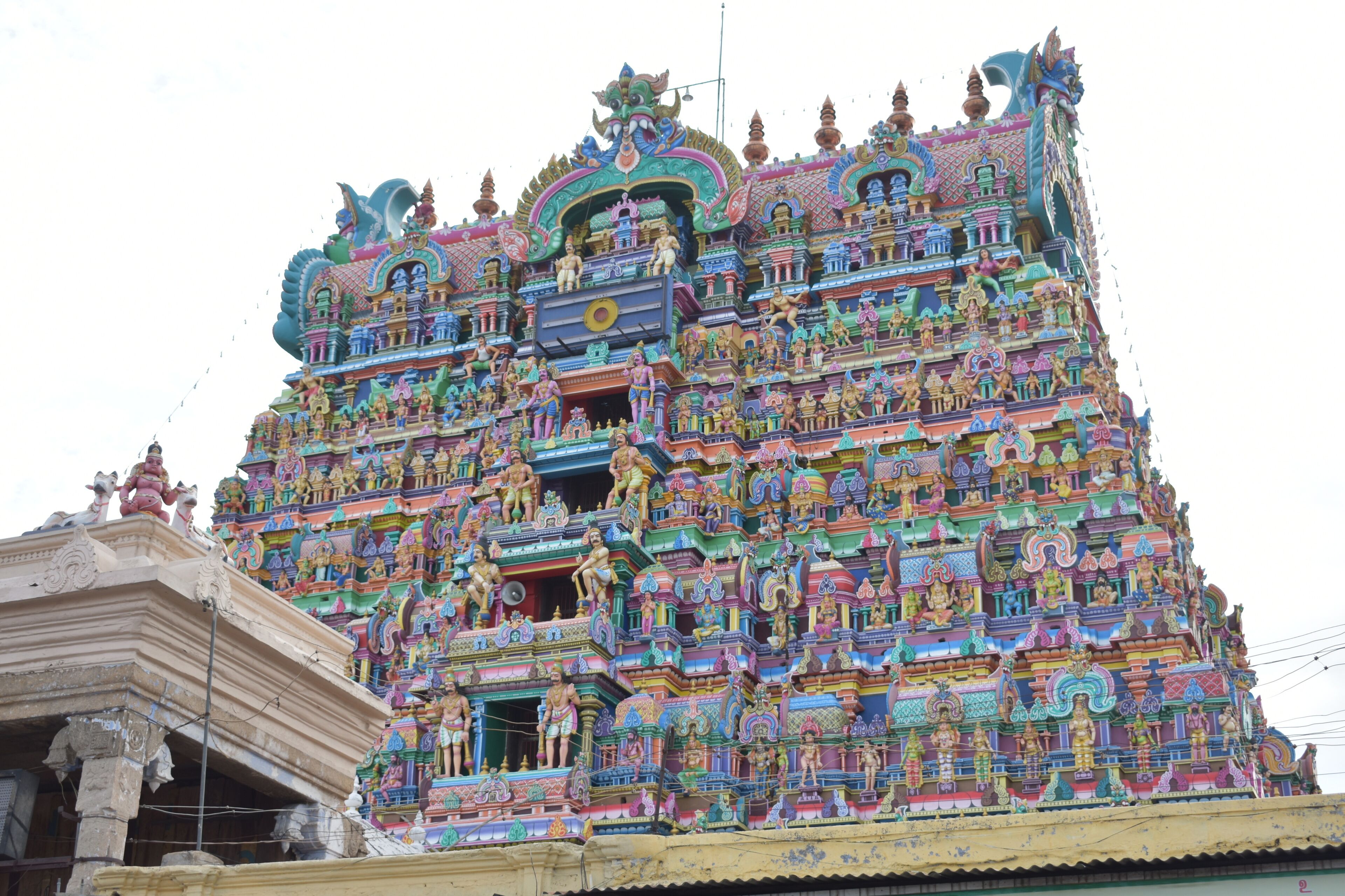 Sankarankovil