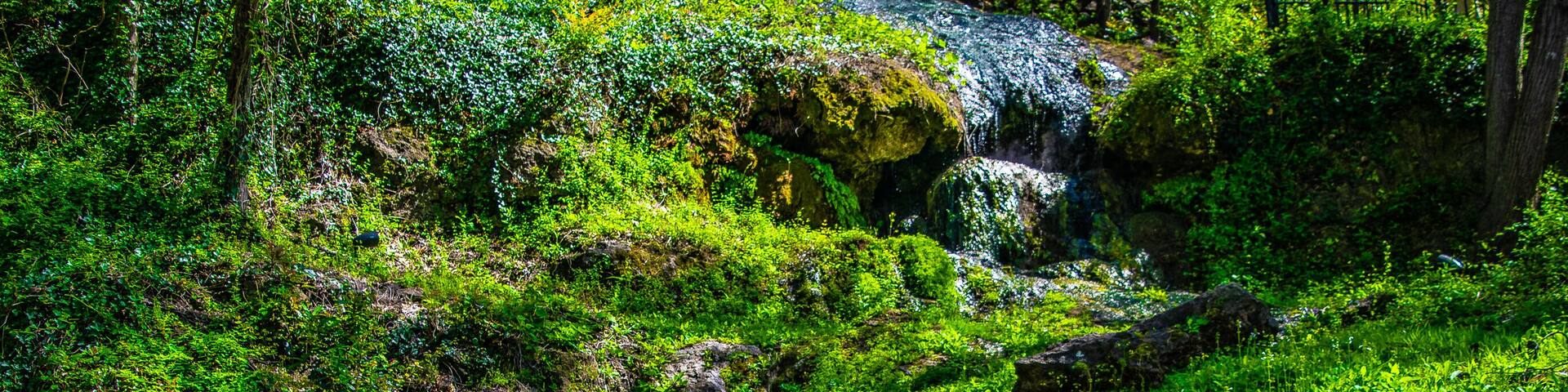 Wilderness in Hot Springs, Arkansas