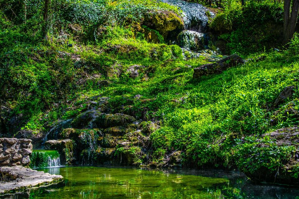 A lush green landscape with a small waterfall and a clear pond.