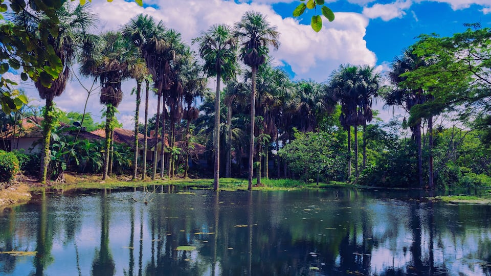 A calm river with reflections of tall palm trees and a house with a tiled roof.
