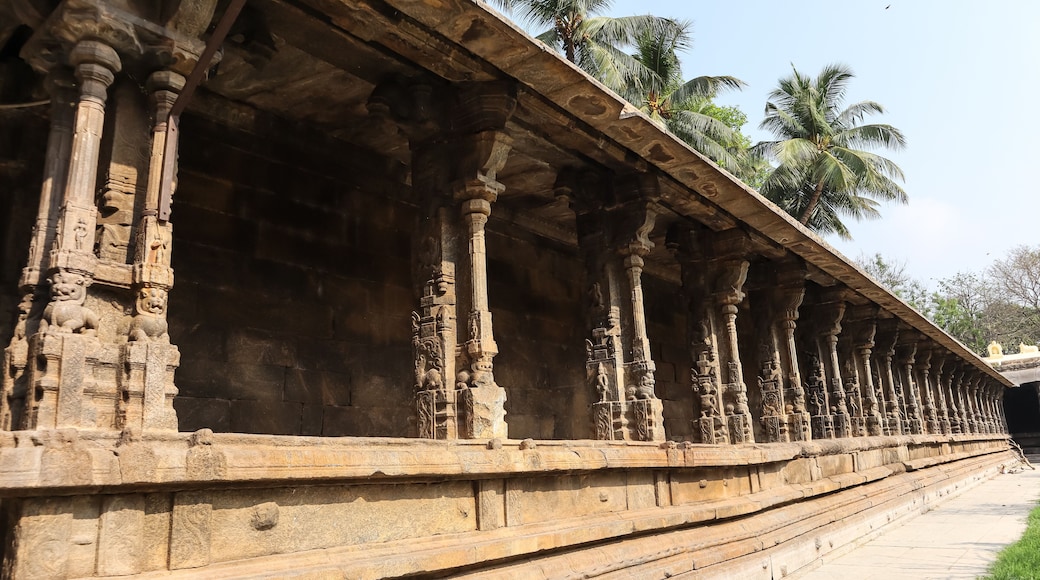 Beautifully Carved Pillars with Horses and Warriors of Sri Jalakandeswarar Temple, 16th Century Lord Shiva Temple, Vellore Fort, Vellore, Tamil Nadu, India.