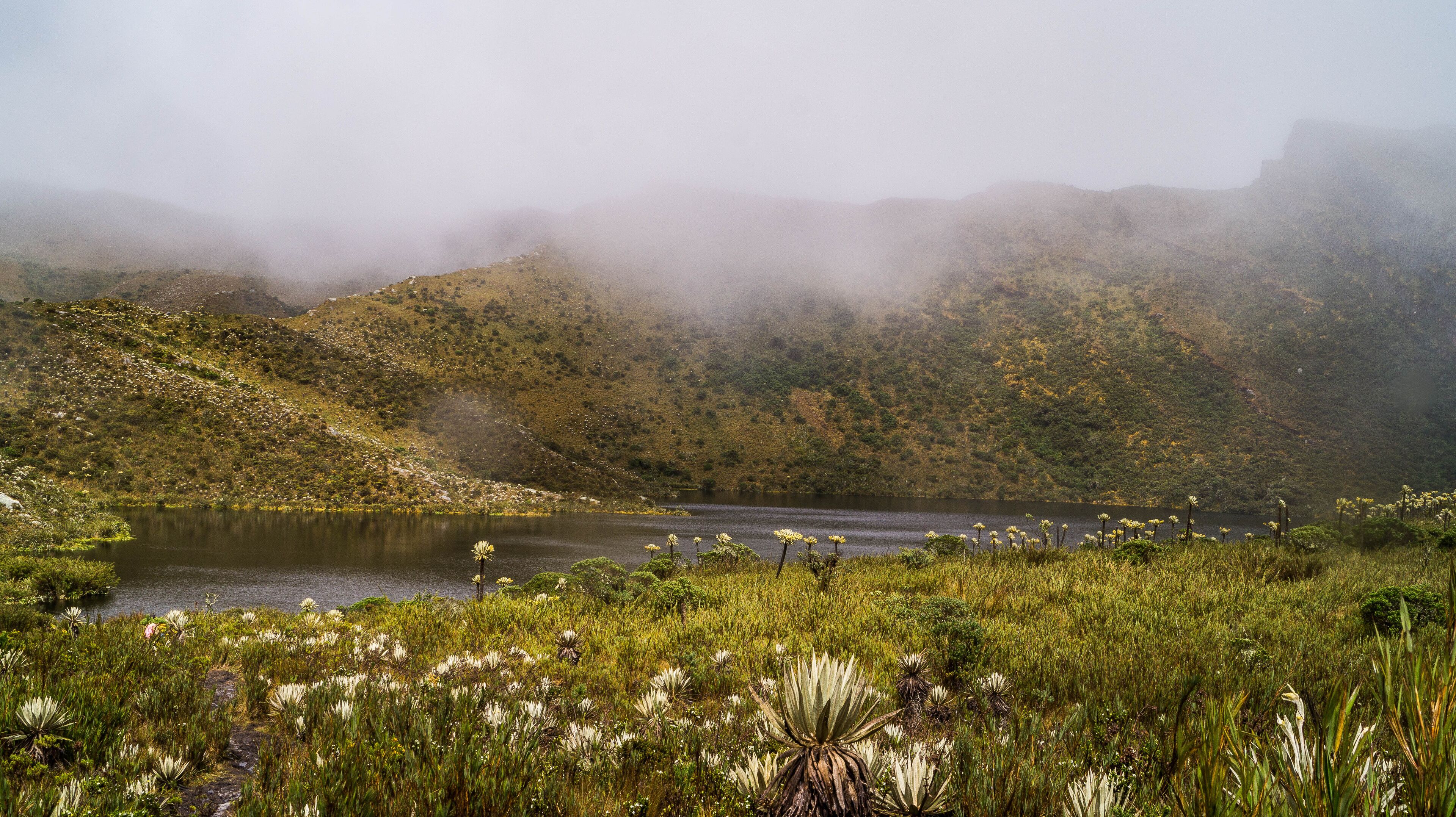 laguna en paisaje natural chingaza