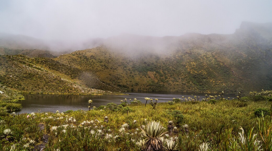 laguna en paisaje natural chingaza