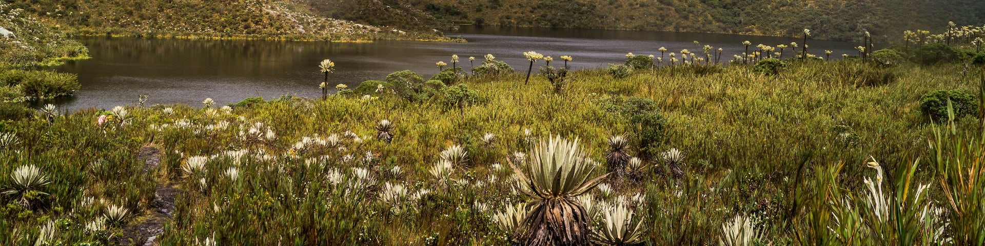 laguna en paisaje natural chingaza