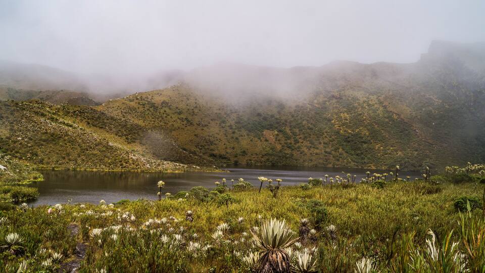 A lake surrounded by mist-covered hills and diverse vegetation.