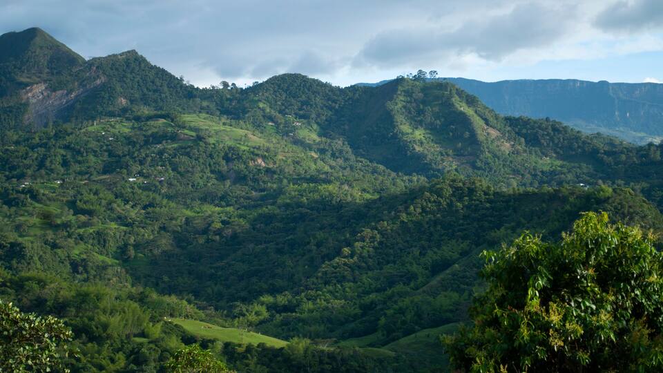 A lush green valley with rolling hills and a mountain range in the background.
