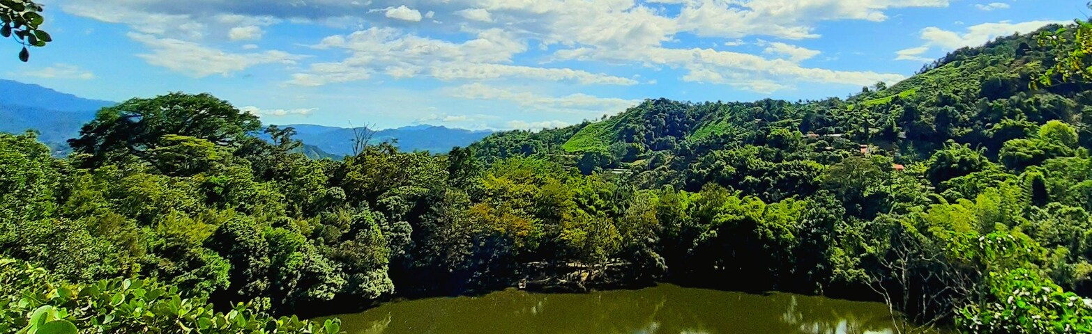 Un lago rodeado de vegetación densa y colinas bajo un cielo despejado.