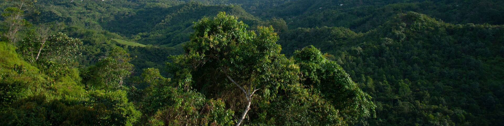 La Vega landscape in Colombia