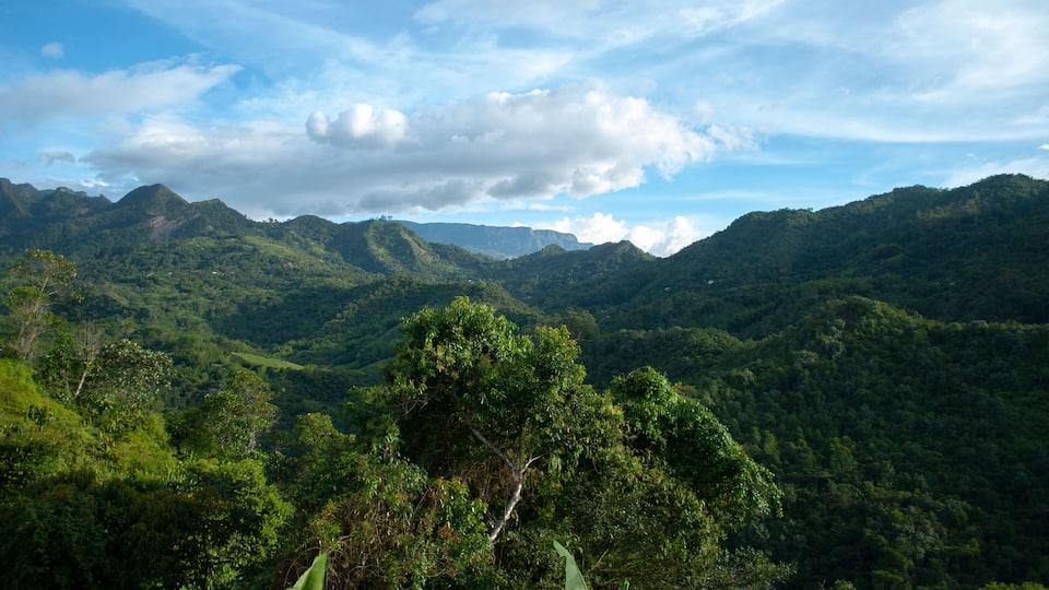 A lush green valley with mountains in the background and a partly cloudy sky.