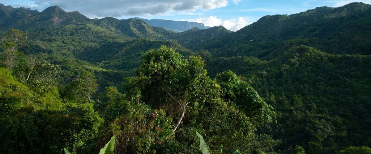 A lush green valley with mountains in the background and a partly cloudy sky.