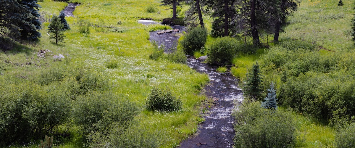 Along the West Fork Black River on the Thompson Trail in the White Mountains of east central Arizona.