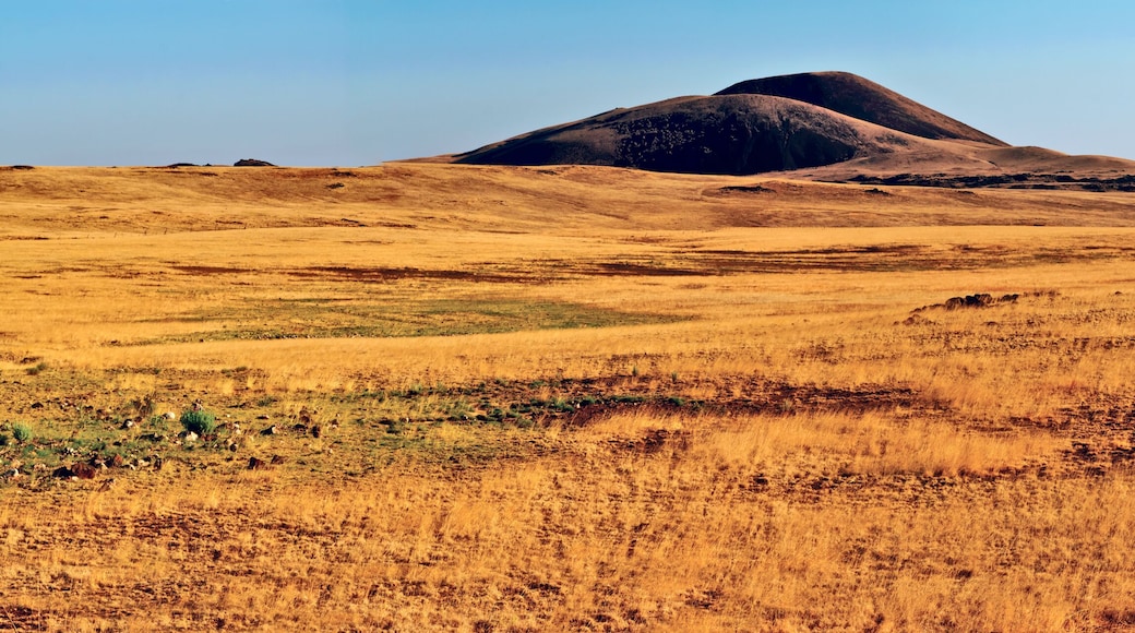 A vast, golden-hued grassland with rolling hills and a prominent hill in the center.