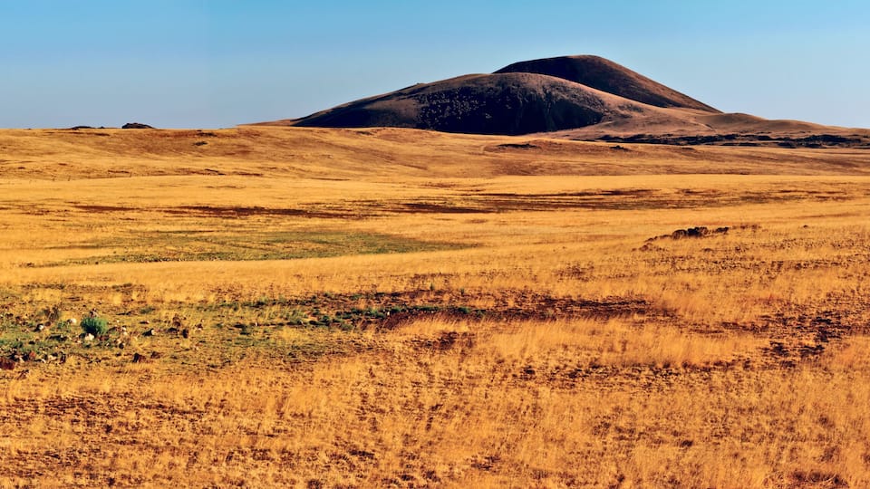 A vast, golden-hued grassland with rolling hills and a prominent hill in the center.