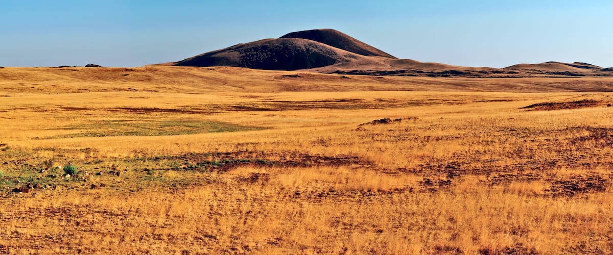 A vast, golden-hued grassland with rolling hills and a prominent hill in the center.