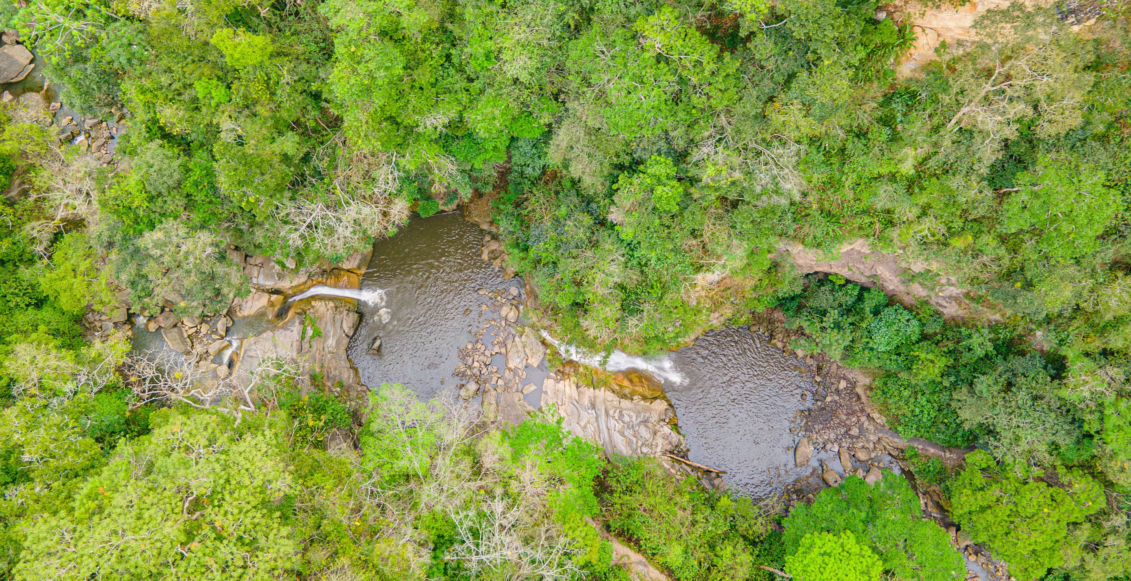 Aerial View of Lush Green Forest and Serene River in Villeta, Cundinamarca, Colombia