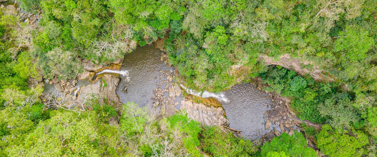 A river flowing through a dense forest with rocky terrain and lush greenery.