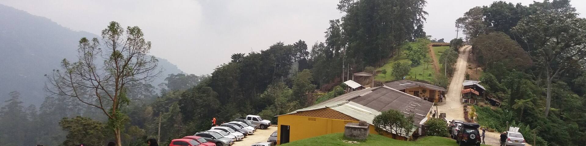 El Carajo es una finca con reserva natural de entrada pública. Restaurante, hotel y zona de camping. Caminata ecológica. Perfecto para descansar.