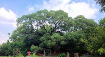 æ„æą
æšæščäŒŻć
Źé æŻ