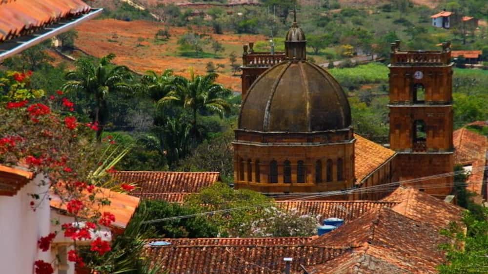A church with a dome and bell tower, surrounded by terraced fields and palm trees.