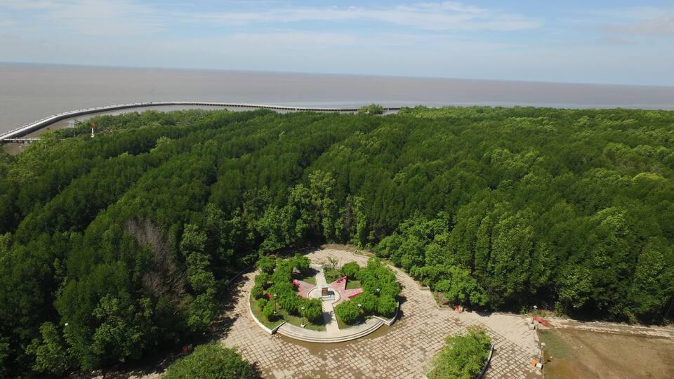 An aerial view of a forested area with a circular park in the center, a bridge in the background, and a body of water.