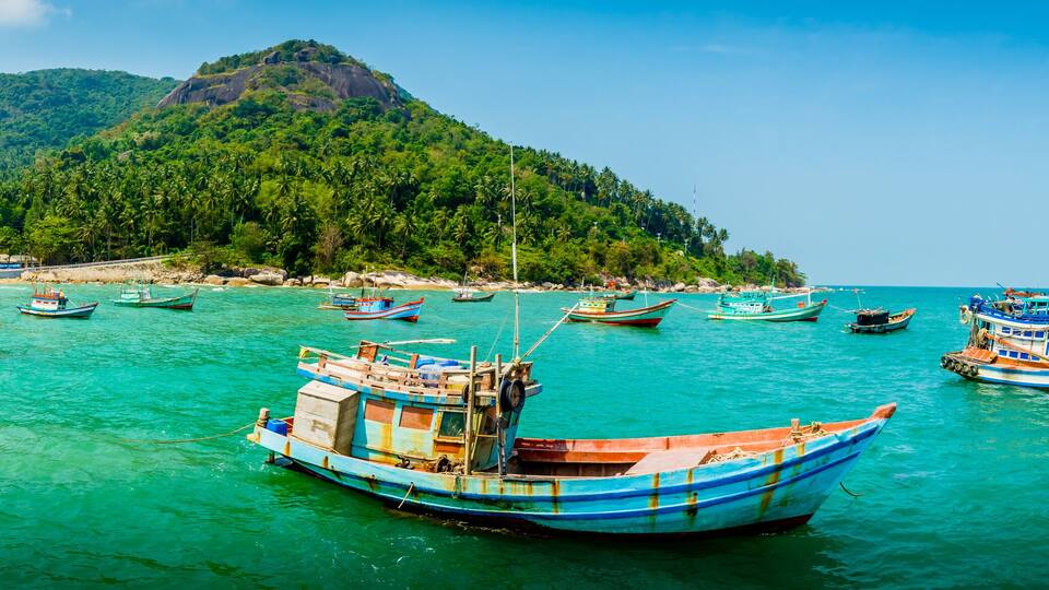 A coastal scene with numerous traditional boats anchored in turquoise waters, a mountainous backdrop, and a clear sky.